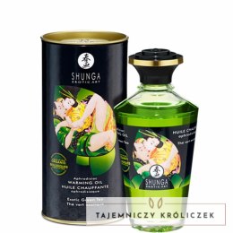 Rozgrzewający olejek do masażu - Shunga Aphrodisiac Warming Oil Green Tea 100 ml Shunga