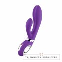 Wibrator - Nomi Tang Wild Rabbit 2 Purple Nomi Tang