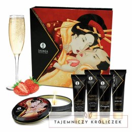 Zestaw akcesoriów - Shunga Geishas Secret Kit Sparkling Strawberry Wine Shunga