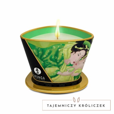 Świeca do masażu - Shunga Massage Candle Green Tea 170 ml Shunga