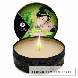 Świeca do masażu - Shunga Zenitude Green Tea 30 ml Shunga