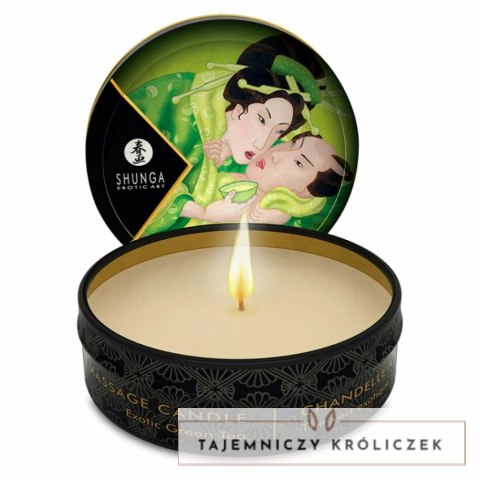 Świeca do masażu - Shunga Zenitude Green Tea 30 ml Shunga