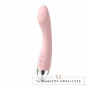 Wibrator do punktu G - Svakom Amy G-Spot Vibrator Pale Pink Svakom