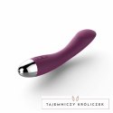 Wibrator do punktu G - Svakom Amy G-Spot Vibrator Violet Svakom