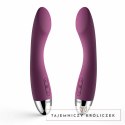 Wibrator do punktu G - Svakom Amy G-Spot Vibrator Violet Svakom