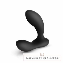 Wibrujący masażer prostaty - Lelo Bruno Black Lelo