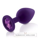 Zestaw plugów analnych - Rianne S Booty Plug Set 3x Purple Rianne S