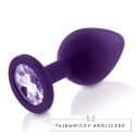 Zestaw plugów analnych - Rianne S Booty Plug Set 3x Purple Rianne S