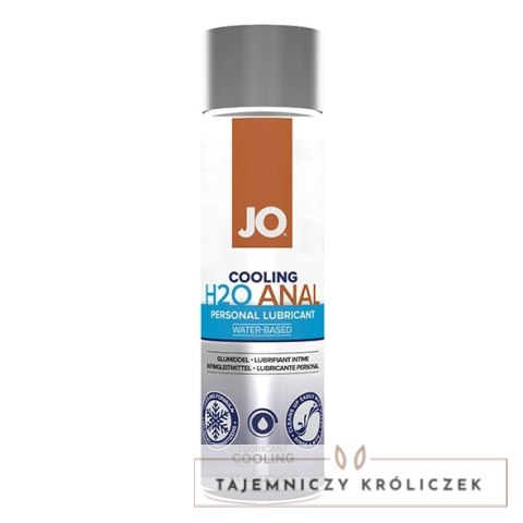 Wodny lubrykant analny chłodzący - System JO H2O Anal Cooling 120 ml System Jo