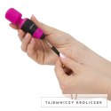 Masażer - PalmPower Pocket Wand Massager PowerBullet