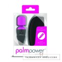 Masażer - PalmPower Pocket Wand Massager PowerBullet