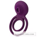 Pierścień wibrujący - Svakom Tammy Vibrating Ring Violet Svakom