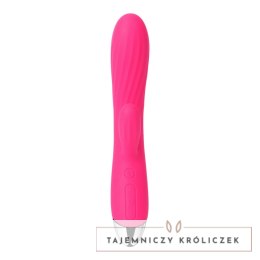 Wibrator - Svakom Angel Intelligent Warming Vibrator Svakom