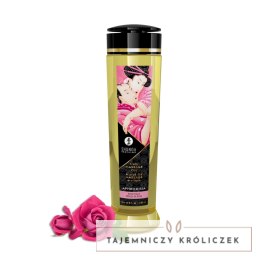 Olejek do masażu - Shunga Massage Oil Aphrodisia Roses 240 ml Shunga