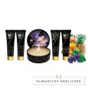 Zestaw akcesoriów - Shunga Geishas Secret Kit Exotic Fruits Shunga