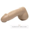 Dildo - Fleshjack Boys Reno Gold Fleshlight