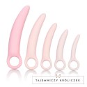 Zestaw dildo - Inspire Silicone Dilator 5 Pcs Set Inspire