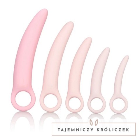 Zestaw dildo - Inspire Silicone Dilator 5 Pcs Set Inspire