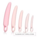 Zestaw dildo - Inspire Silicone Dilator 5 Pcs Set Inspire