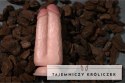 RealRock - Podwójne dildo 15,2 cm RealRock by Shots