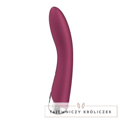 Satisfyer - Wibrator zakrzywiony Vibe 1 Satisfyer