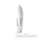 Satisfayer - Podwójny wibrator króliczek Double Satisfyer