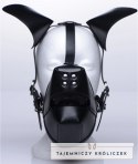 Pup - Puppy Play Mask + Breathable Ball Gag XR Brands