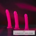 RealRock - Realistyczne dildo z przyssawką 20 cm RealRock by Shots