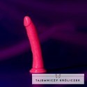 RealRock - Realistyczne dildo z przyssawką 20 cm RealRock by Shots