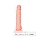 RealRock - Cienkie realistyczne dildo z przyssawką 15,5 cm RealRock by Shots