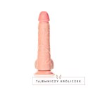 RealRock - Proste realistyczne dildo z jądrami i przyssawką 20,5 cm RealRock by Shots