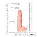 RealRock - Proste realistyczne dildo z jądrami i przyssawką 20,5 cm RealRock by Shots