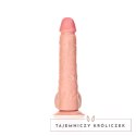 RealRock - Proste realistyczne dildo z jądrami i przyssawką 28 cm RealRock by Shots