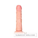 RealRock - Realistyczne dildo z przyssawką 15,5 cm RealRock by Shots