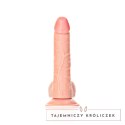 RealRock - Zakrzywione realistyczne dildo z jądrami i przyssawką 18 cm RealRock by Shots