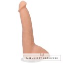 Doc Johnson - Realistyczne dildo Roman Todd 20 cm Doc Johnson