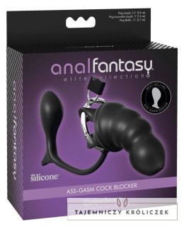 Anal Fantasy - Klatka Na Penisa Z Wtyczką Analną Czarna Anal Fantasy Elite