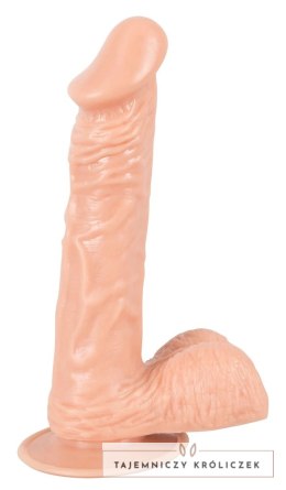 European Lover - Realistyczne Dildo Z Przyssawką 20 Cm European Lover