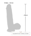 Medical Silicone - Medyczne Silikonowe Dildo 20cm Medical Silicone