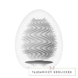 Zestaw sześciu masturbatorów - Tenga Egg Wonder Wind Tenga