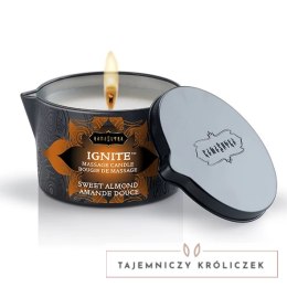 Świeca do masażu - Kama Sutra Ignite Sweet Almond 170g Kama Sutra