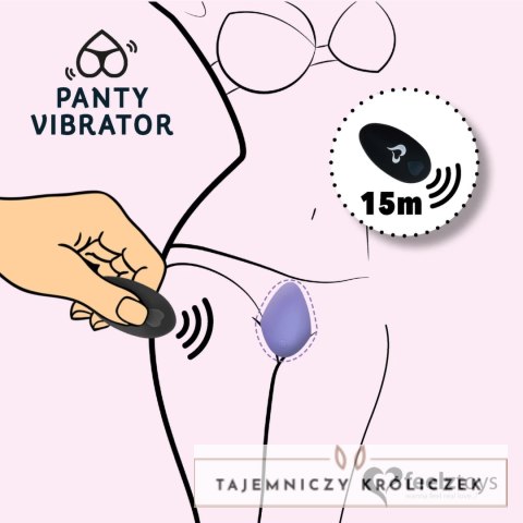 FeelzToys - Zdalnie Sterowany Wibrator Do Majtek Czarny FeelzToys FeelzToys - Zdalnie Sterowany Wibrator Do Majtek Czarny FeelzToys