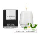 MAGNETIFICO - Aphrodisiac Candle Świeca Zapachowa Z Afrodyzjakami Jasmine Romance Magnetifico