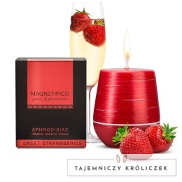 MAGNETIFICO - Aphrodisiac Candle Świeca Zapachowa Z Afrodyzjakami Truskawka Magnetifico