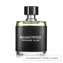 MAGNETIFICO - Perfumy Męskie Z Feromonami MAGNETIFICO Pheromone Allure 50ml Magnetifico