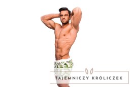 Kąpielówki Playo Palm Zielono-Biały L Alpha Male